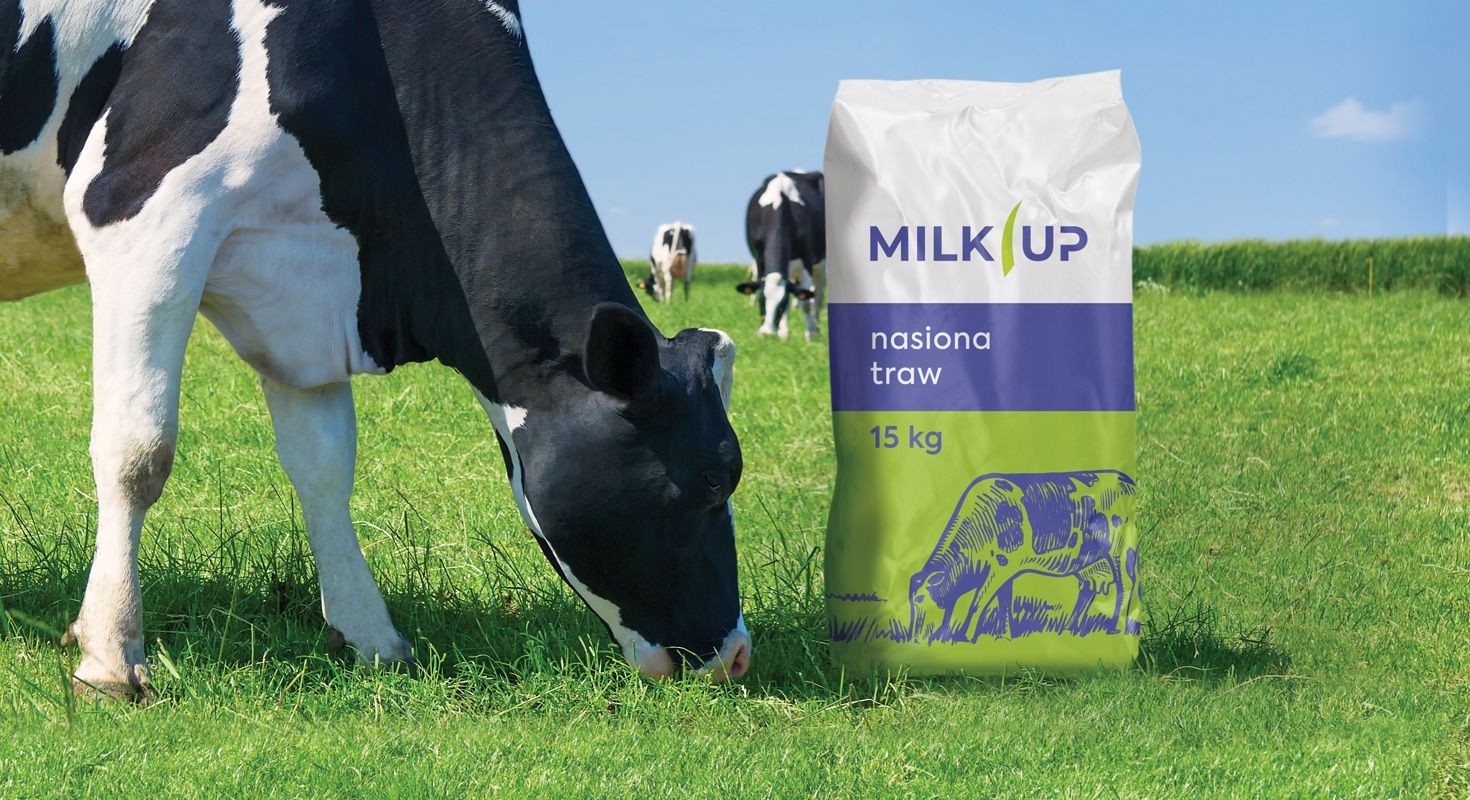 MilkUp - mieszanki traw