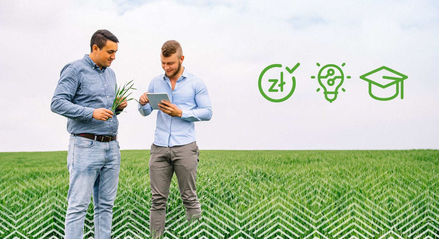 Dobra praca zaczyna się tutaj - Zostań handlowcem w Osadkowski i rozwijaj się z nami!