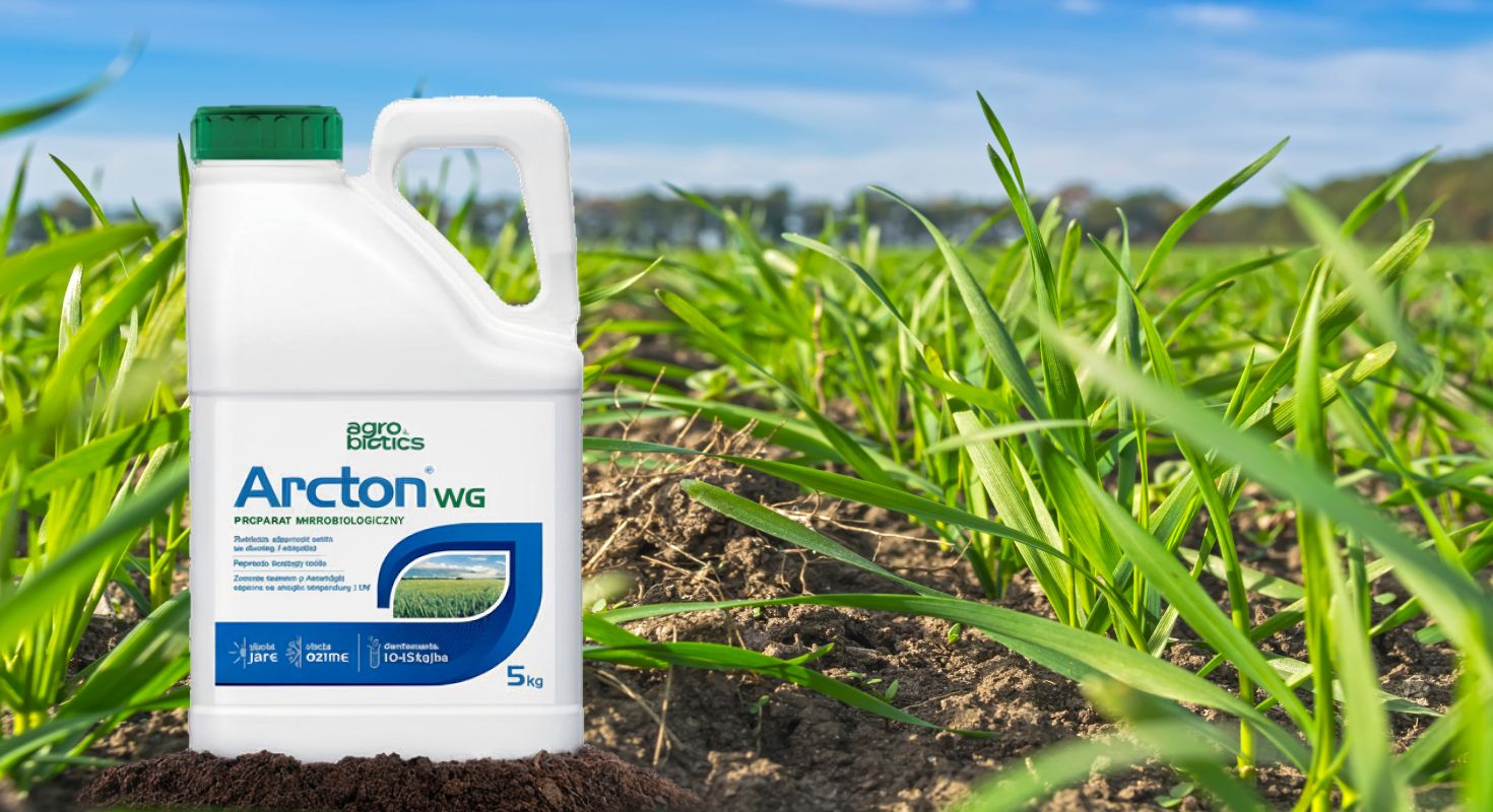 Działaj, gdy inni czekają! Arcton WG najszybszy zabieg w T1