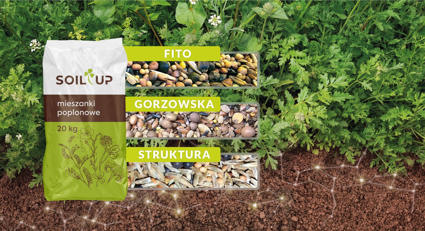 Wyższa kultura gleby to klucz do wyższej produktywności
