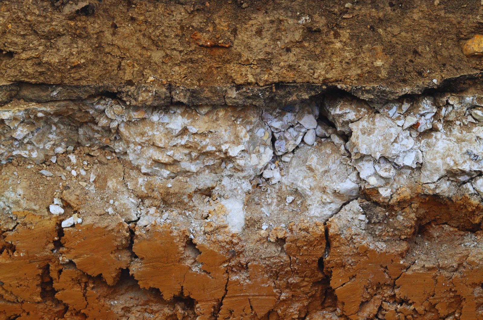 Jak zwiększyć zawartość próchnicy w glebie?