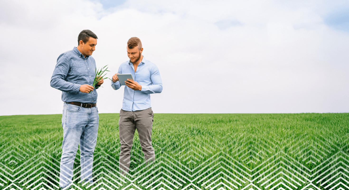 Dobra praca zaczyna się tutaj