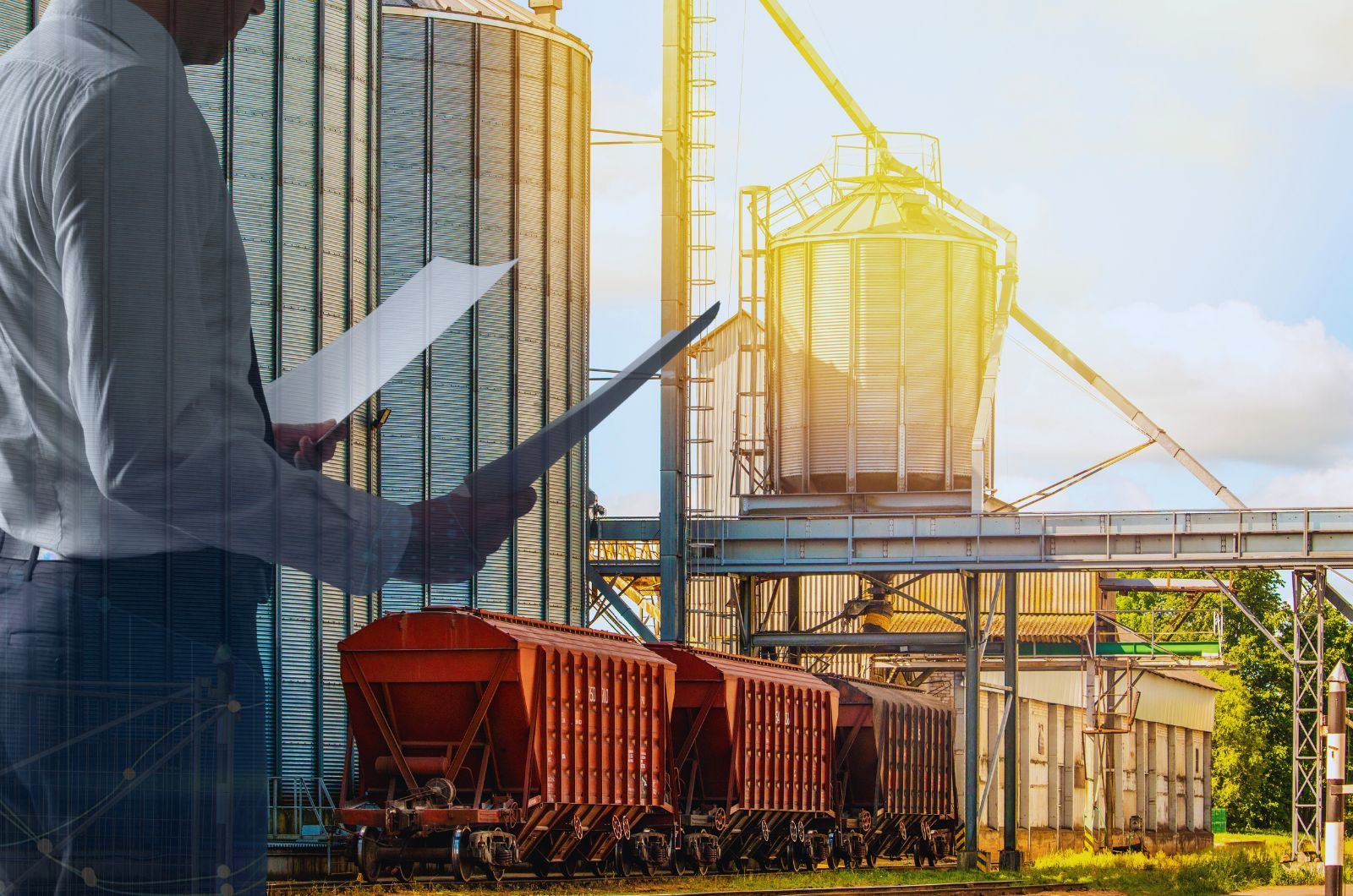 Kluczowe wnioski z listopadowego raportu United States Department of Agriculture (USDA)