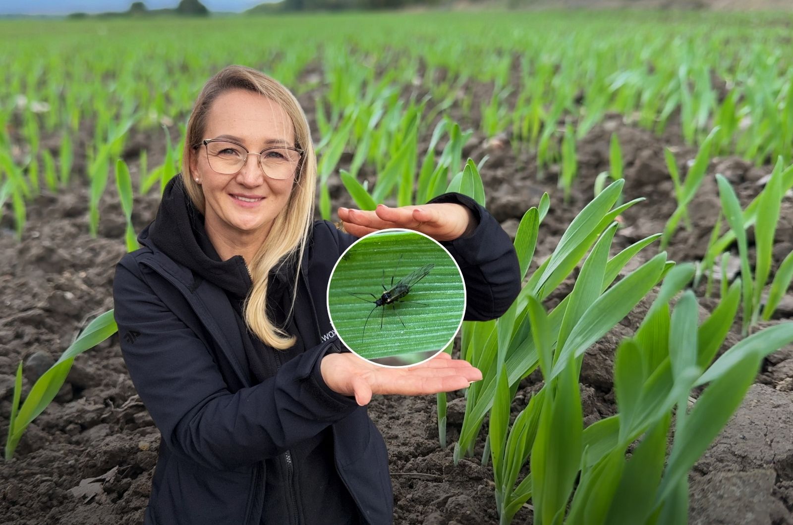 News Osadkowski odcinek 72