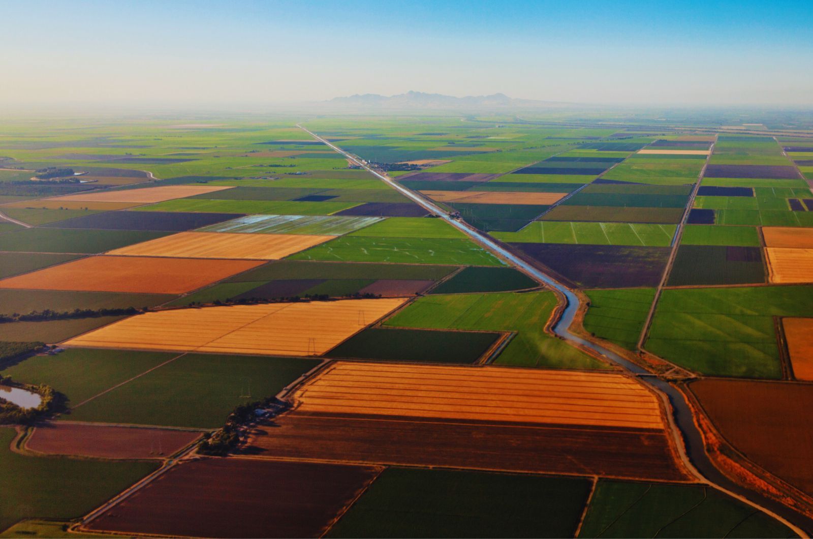 Rolnictwo regeneratywne – zasady i jak dbać o glebę?