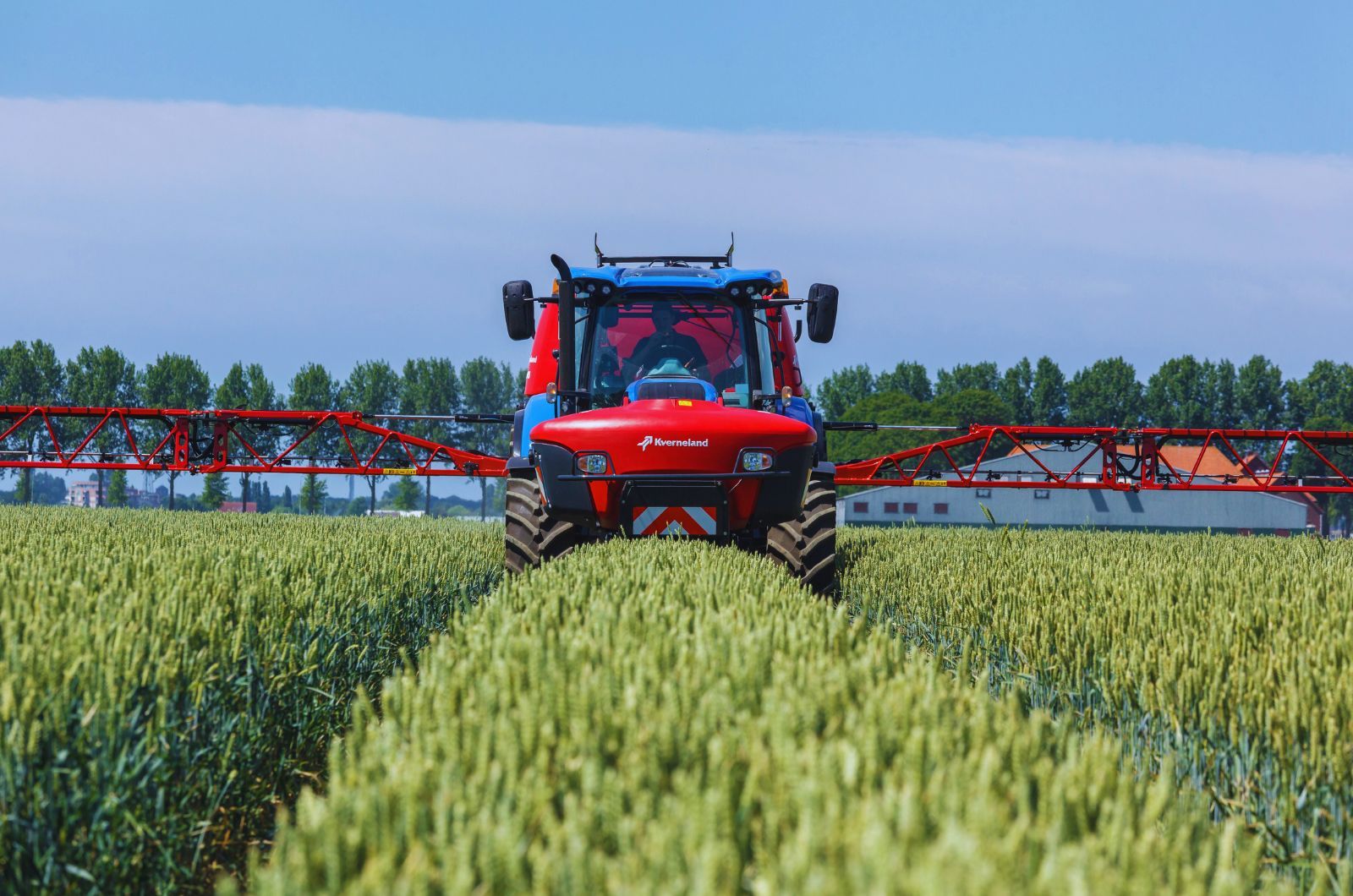 T3 w pszenicy zapewnia ochronę kłosa