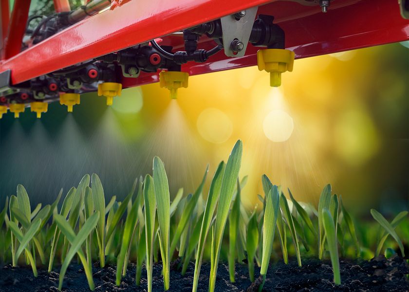 Technologie upraw polecane przez Osadkowski