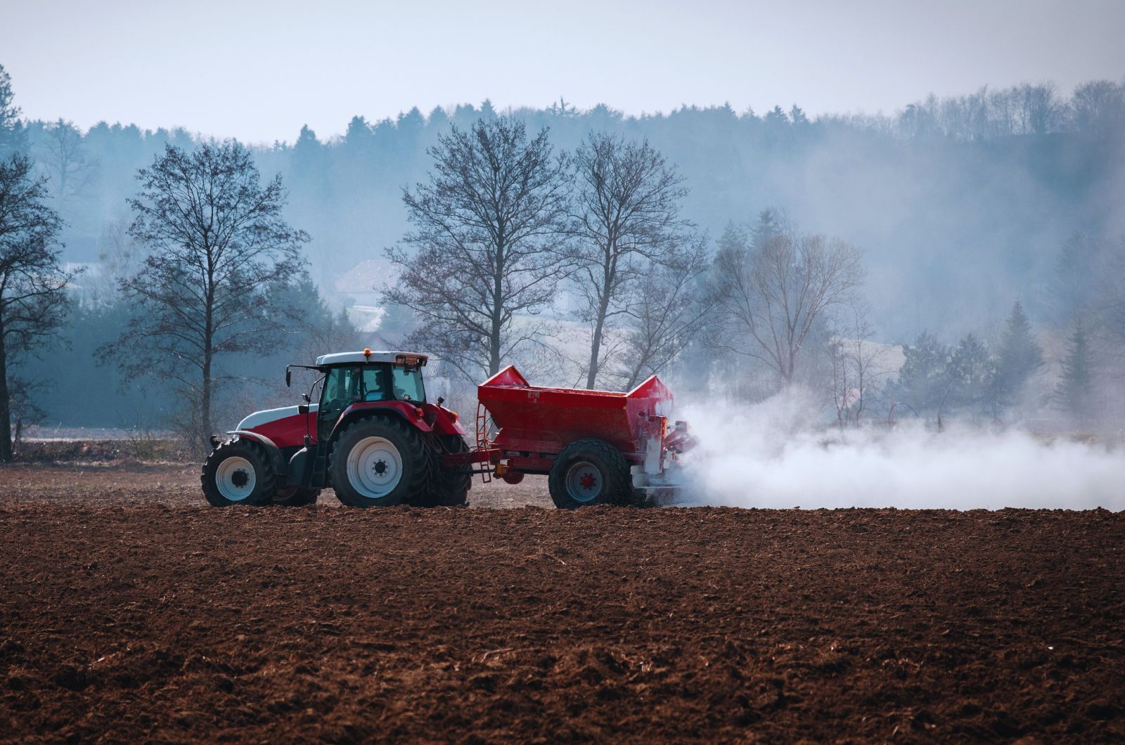 Wapnowanie gleby pod warzywa najlepiej przeprowadzić jesienią