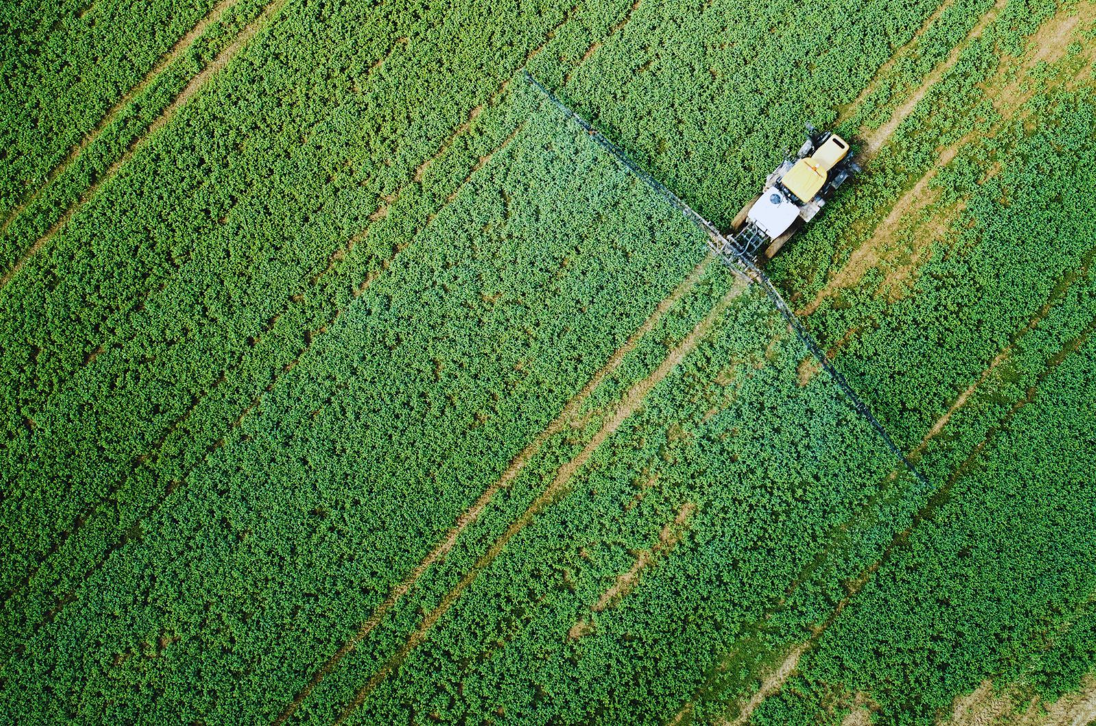 Wycofane substancje w 2025