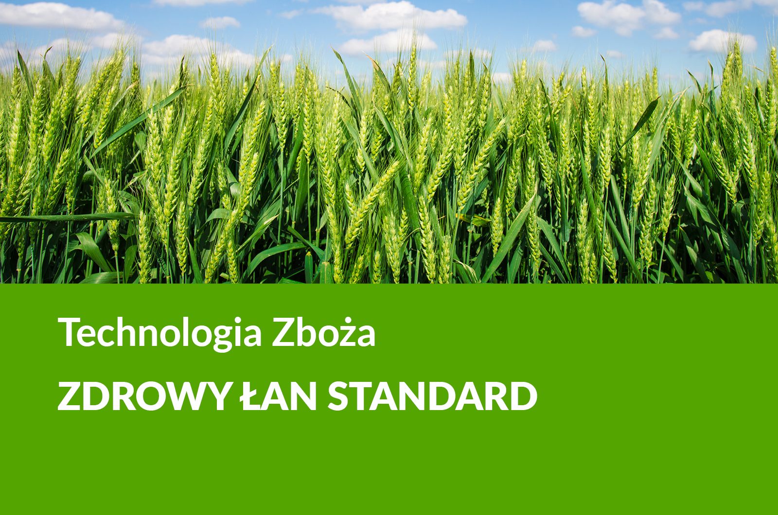 Zboża Zdrowy Łan Standard