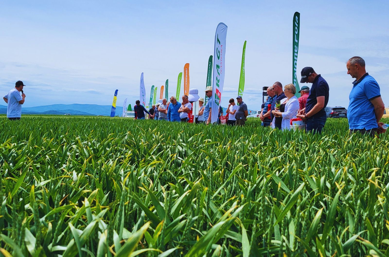 Zielone Pola 2023 - poletka blisko rolnika